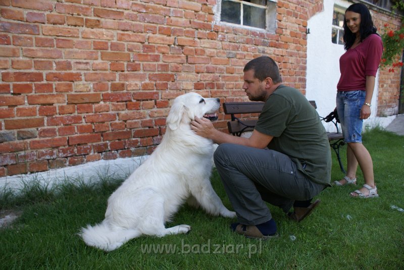 podhalan_06671.jpg - Owczarek Podhalański - od lewej KUMOTER KARAT Badziar (11 miesięcy),