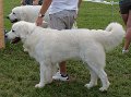 DSC00340