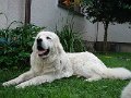 DSC03465