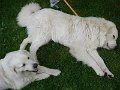 DSC03487