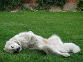 DSC03507