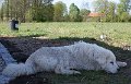 DSC04108