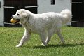 DSC04398