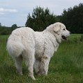 DSC04440
