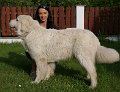 DSC04537