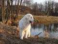 podhalan_03364