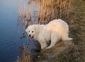 podhalan_03376