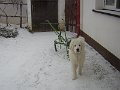 DSCN6674
