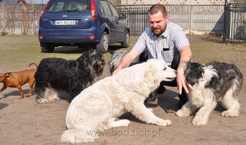 owczarek-podhalanski-4013.jpg - Owczarek Podhalański - LASZKA LUNA Badziar (6,5 miesiąca)