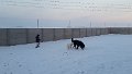 20150106_154243