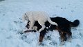 20150106_155021