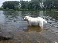 20150703_135855