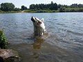 20150717_120440