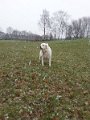 20160304_122146