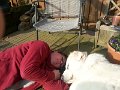 20160310_154521(0)