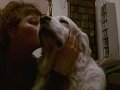 20160327_233740