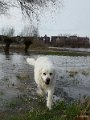 20170310_235825