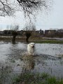 20170310_235855