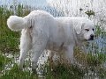 20170311_000449