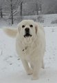20170311_001149