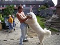 podhalani_0164