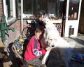 podhalani_0273